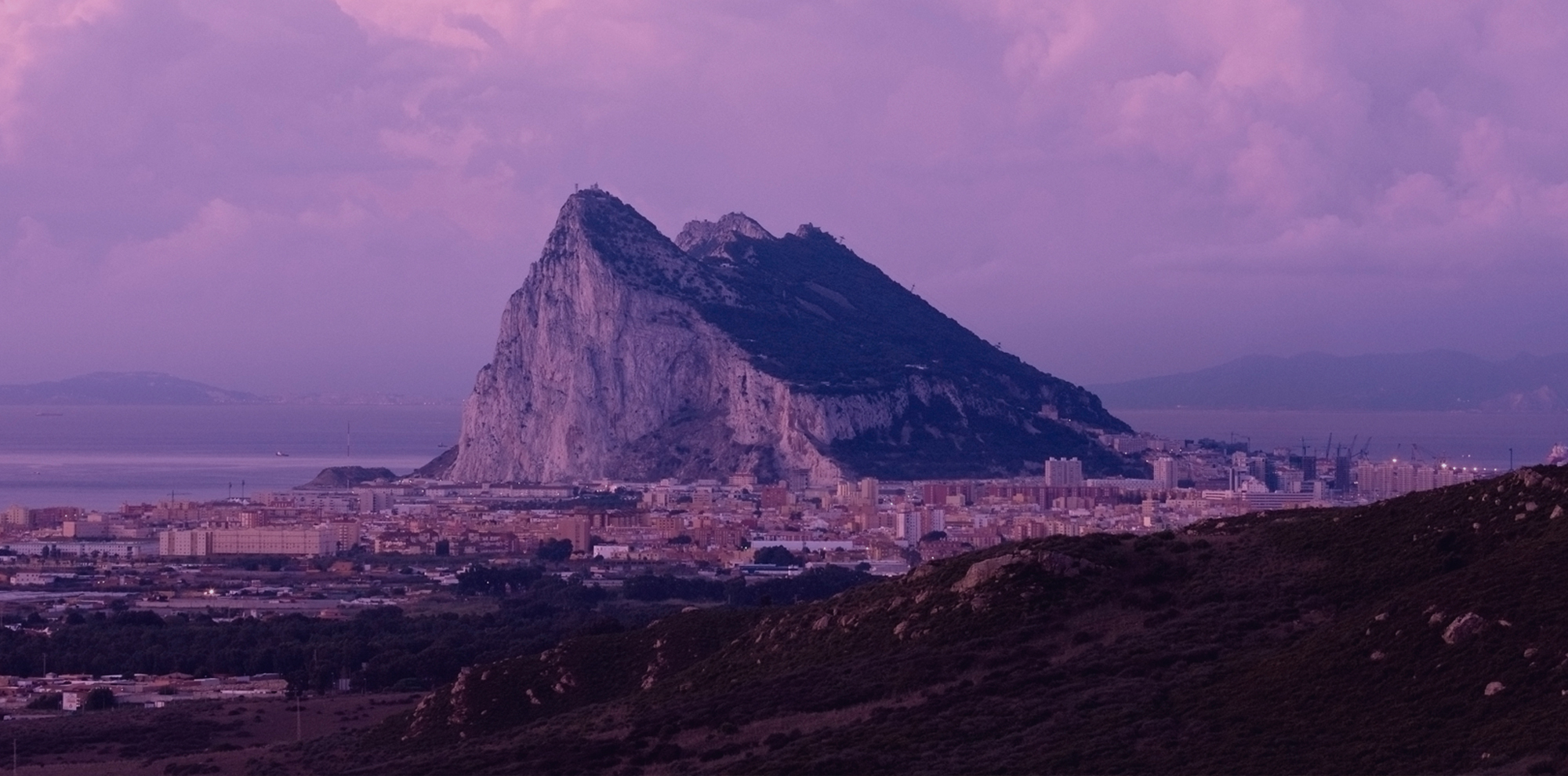 Accounting and Finance Sector