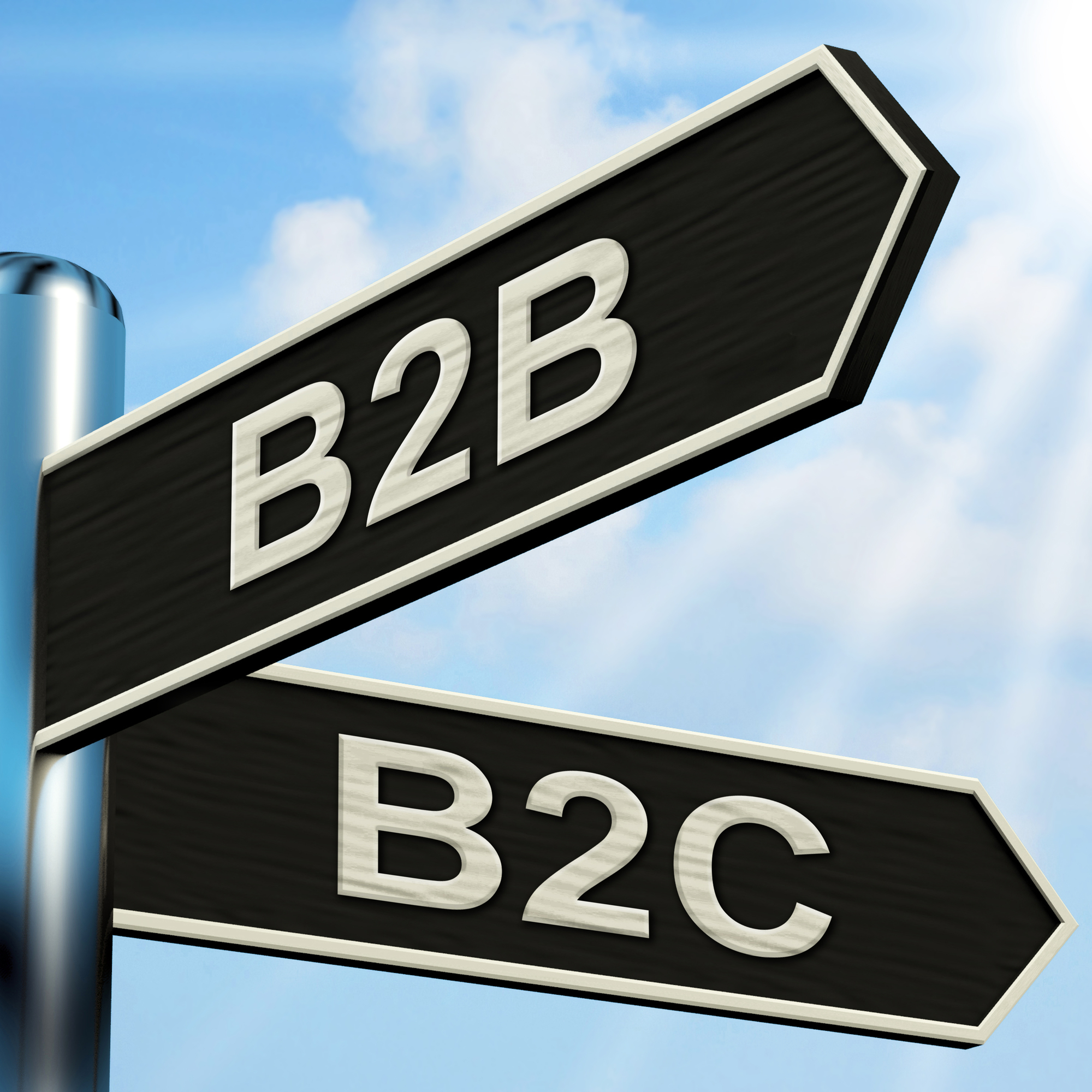 Unveiling the Contrasts: B2B versus B2C Marketing